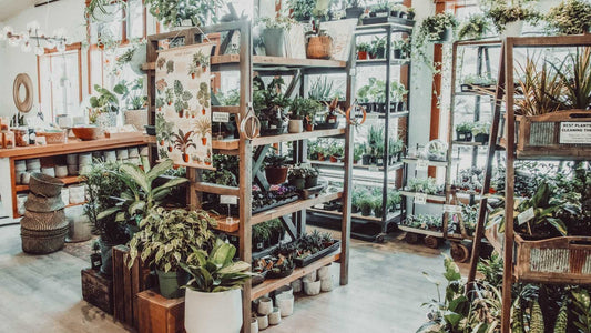 Stockist Spotlight - Stonewaters