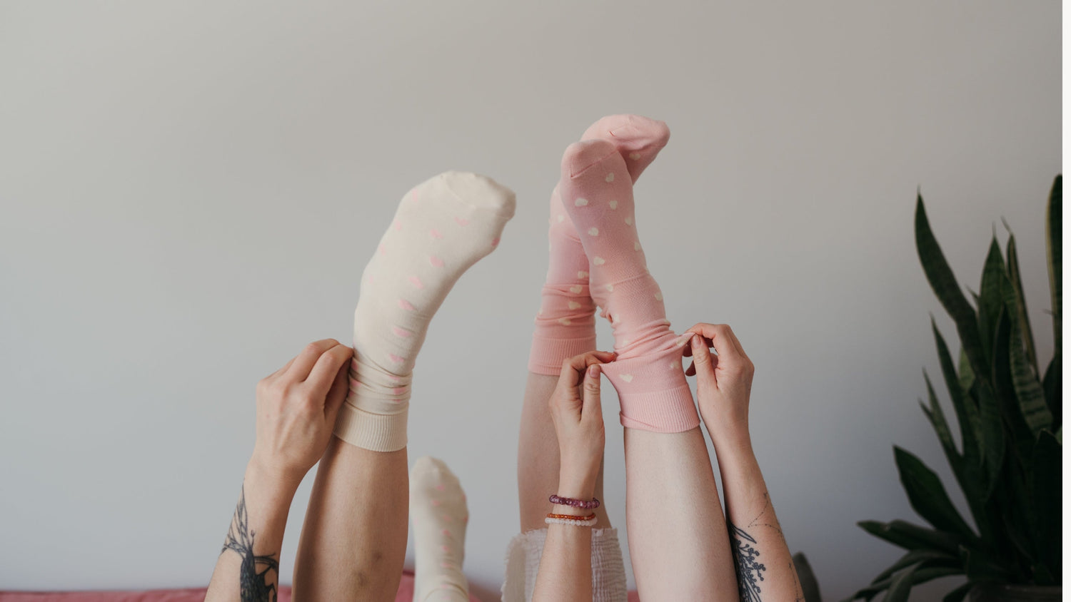 Pima Socks