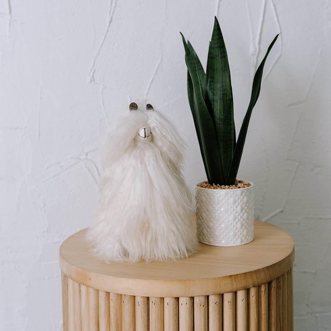 POKOLOKO Alpaca Fur Standing Suri Alpaca #color_white