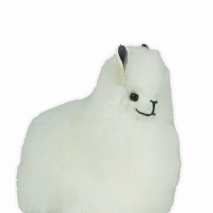Alpaca Fur Standing Alpaca