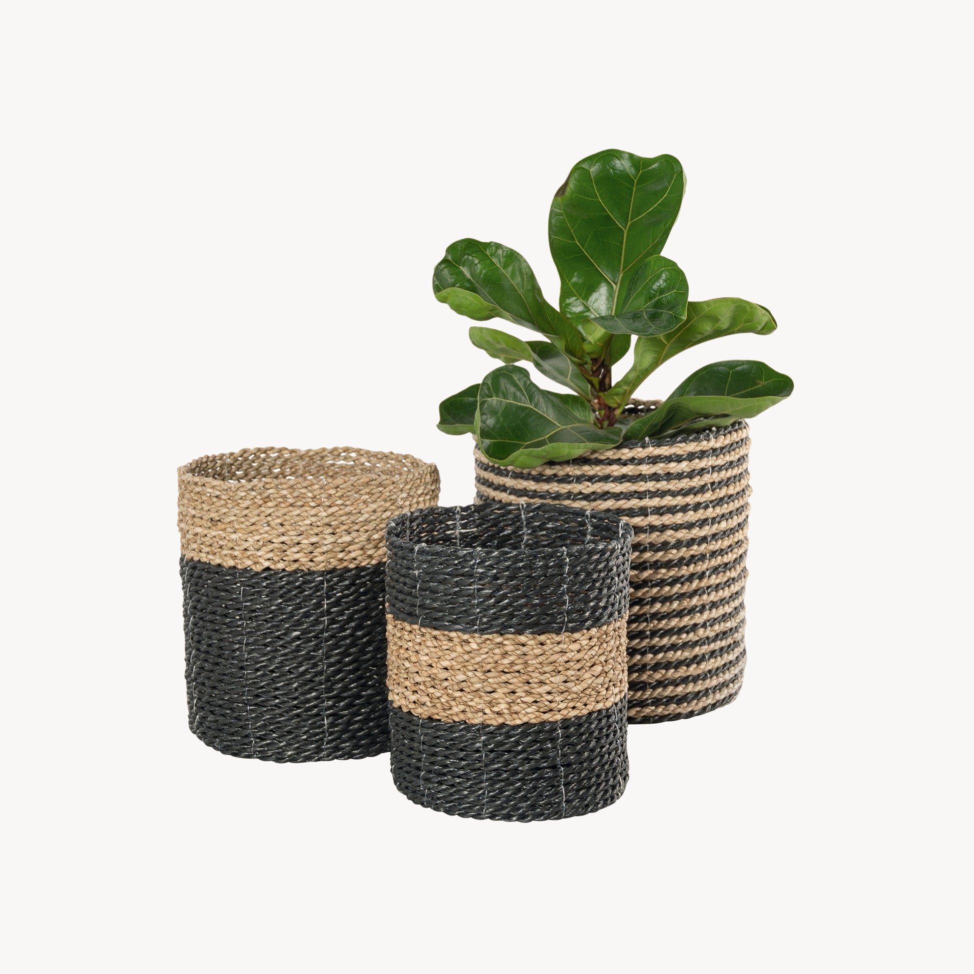 POKOLOKO Plant Basket #color_black-natural